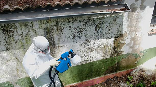 Top rated local Mold Remediation specialists in Tucker, GA